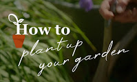 How to plant up your garden