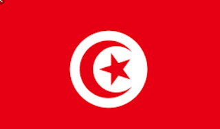 Sejarah : Pemerintah Presiden Bin Ali Tumbang di Tunisia Pasca Demontrasi besar? Ini Faktanya!