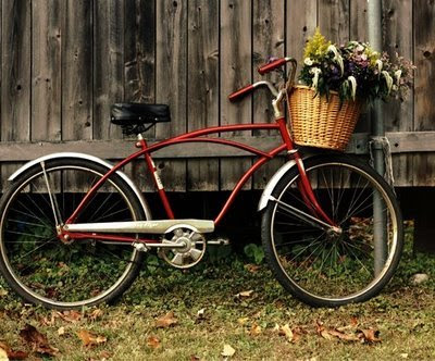Bike Baskets on Want A Cute Little Bicycle Not A Mountain Bike But A Cute One