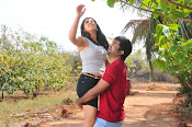 Elukaa Mazakaa movie Photos Gallery-thumbnail-1