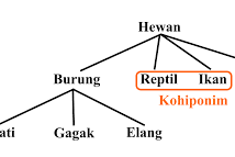 Hiponimi dan Hipernimi