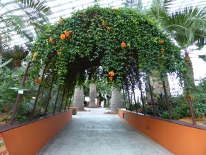 P1000602