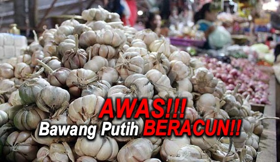 HATI-HATI BAWANG PUTIH yang diimport dari China telah dicampur bahan kimia, kenali ciri-ciri bawang beracun dari China