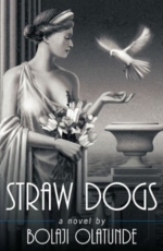 Straw Dogs by Bolaji Olatunde (Book Excerpt)