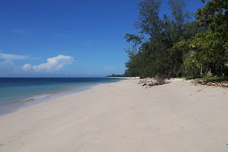 Lokasi Pantai Sendiki Malang, Pesona Pantai Tersembunyi nan Indah