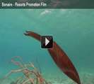 Bonaire part 2 - Promotional video of Bonaire