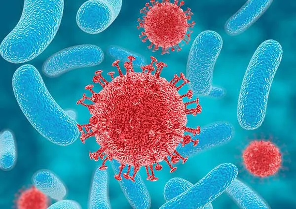 Turistas en Gran Canaria contraen bacterias en hospitales, alerta ECDC