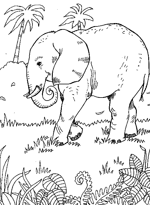 desenhos da africa para colorir