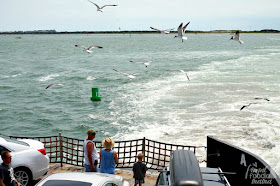 Head to the Hatteras Inlet Ferry docks to catch a ride (car and all) to the southernmost island of the Outer Banks, Ocracoke Island. The ferry ride itself takes around 2 hours.