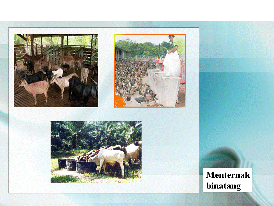.sejarah tingkatan 1: Kegiatan Pertanian