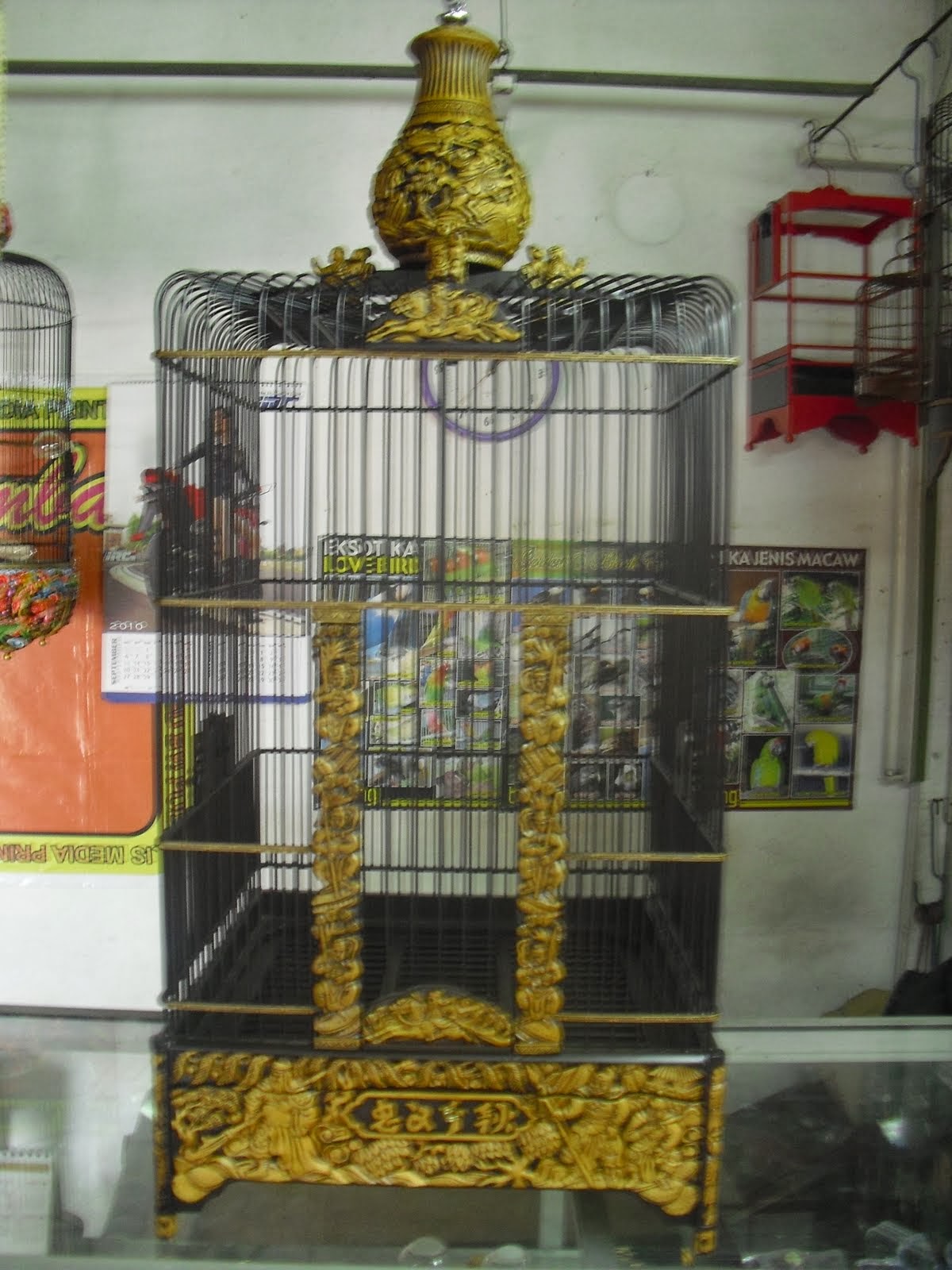 Gambar Sangkar  Burung  Dari Besi  2021 Age