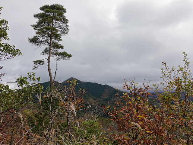 グランソール大山希望ヶ丘 管理用道路からの眺望