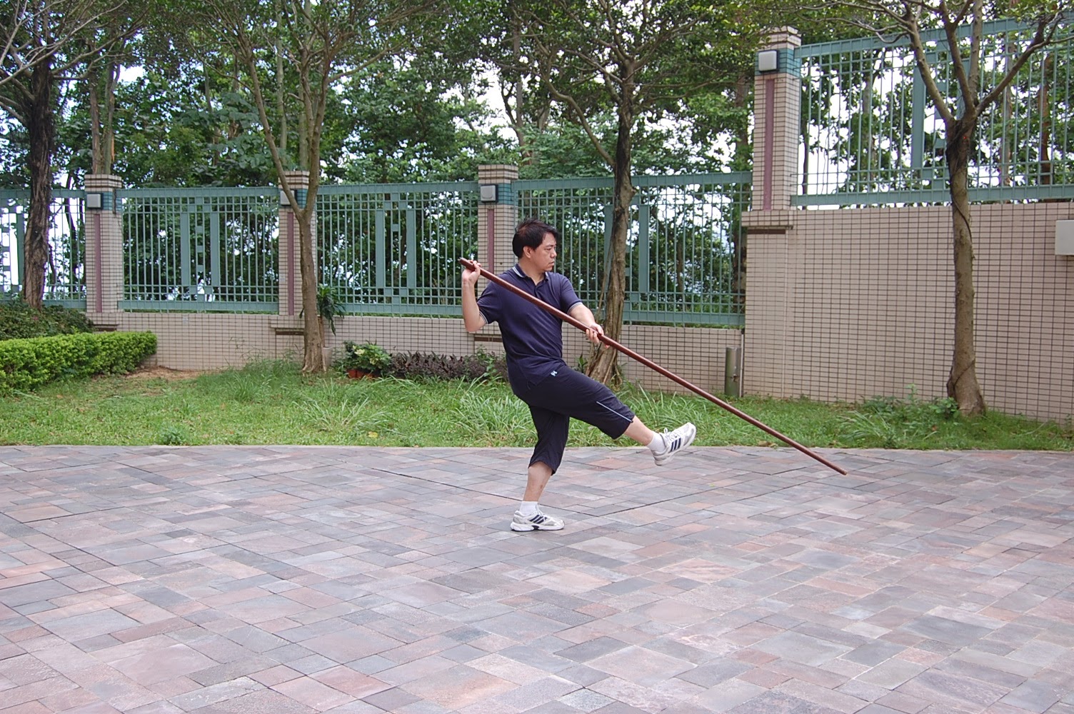 太極槍 14 天馬騰空