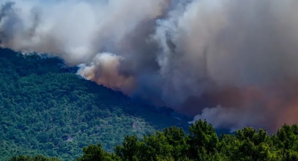 Καταγγελίες για «υβριδική επίθεση» σε Έβρο και Λέσβο – Φωτιές σε Πρέβεζα, Γρεβενά, Μεσσηνία