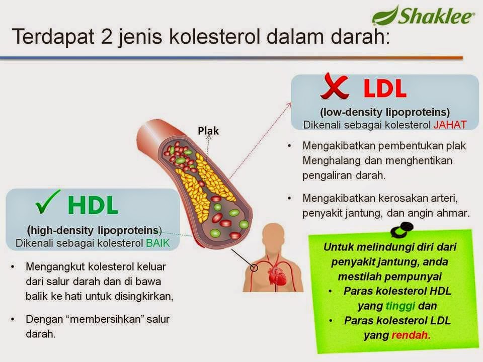 Kawal Kolesterol Dan Cuci Saluran Darah dengan Omega Guard 