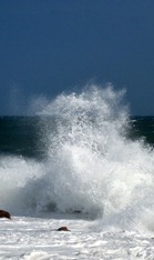 1-DSC_4470