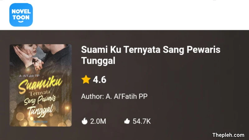 Novel Suami Ku Ternyata Sang Pewaris Tunggal