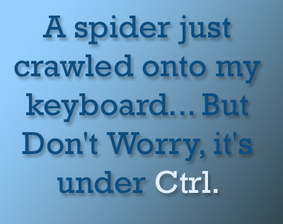 A spider just crawled onto my keyboard