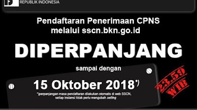 Daftar Akun SSCN.BKN.GO.ID Diperpanjang, Kesempatan Bagi yang Tertarik Ikut Pendaftaran CPNS 2018