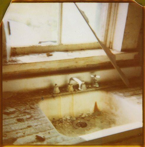 beautiful photos: expired polaroid film