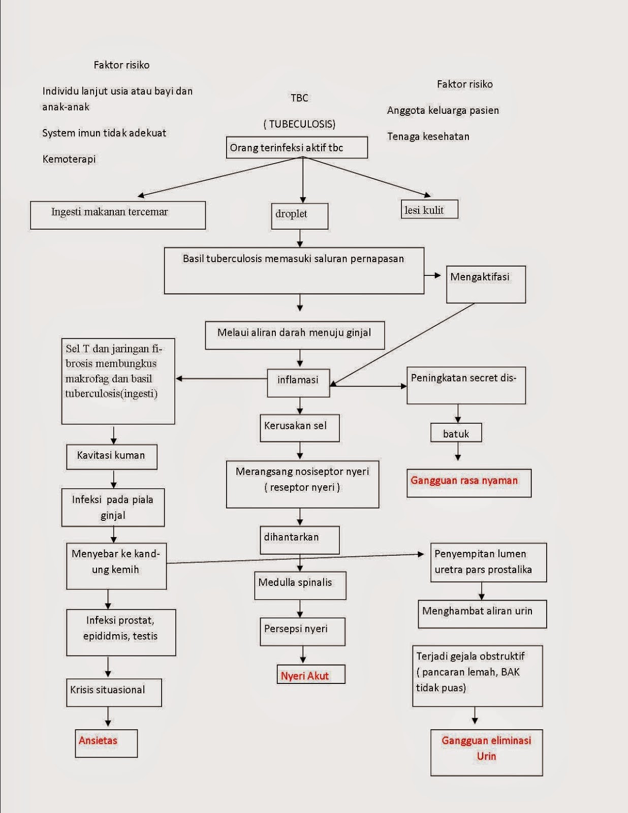 Pathway TB Renal  Asuhan Keperawatan