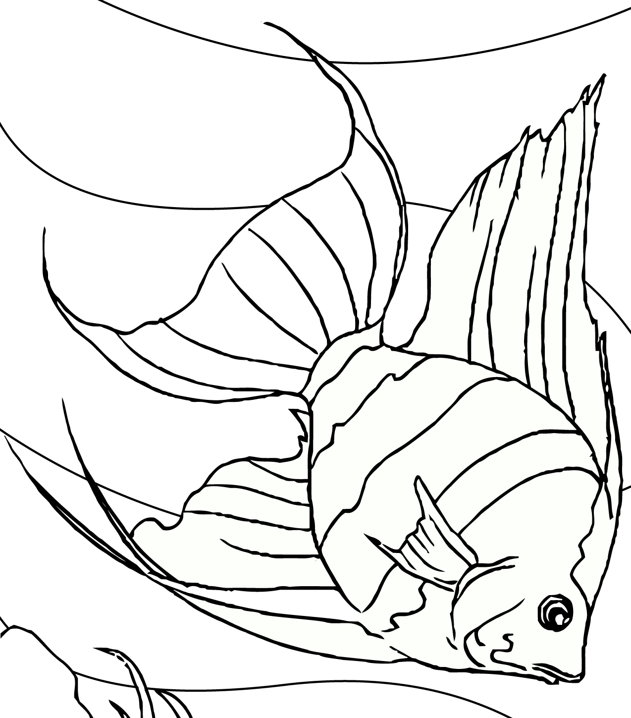  Gambar  Mewarnai  Hitam  Putih  Ikan Hias Air Tawar Untuk Anak SD TK PAUD Terbaru gambarcoloring