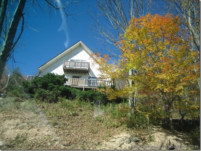2010-10-23 038
