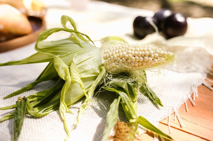 Discovering the Four Major Benefits of Corn Silk Tea