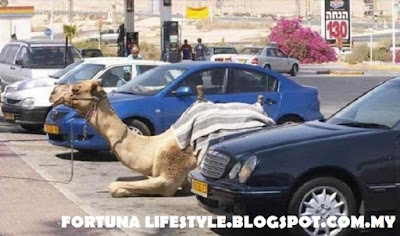 <img src="DUBAI.jpg" alt=" 10 UniqueThings That Probably Only Happen in Dubai.UAE [1]">