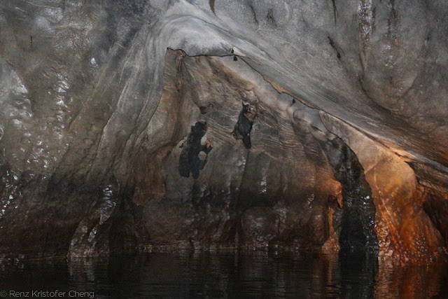 Majestic Rock Formation in the Underground River of Palawan