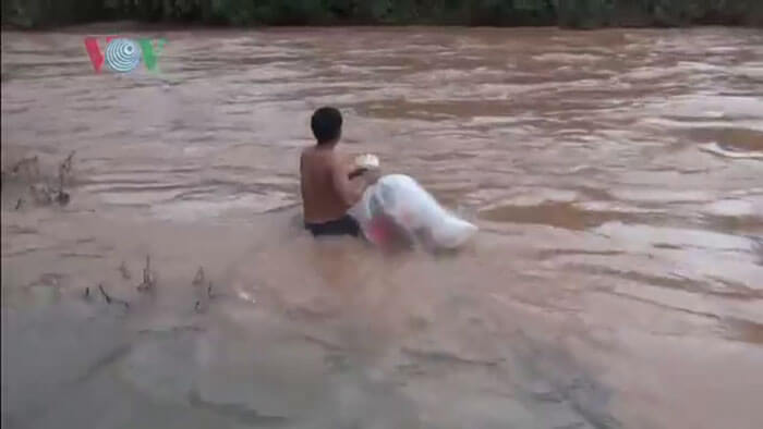 Students In Vietnam Village Ferried Across A River In Plastic Bags To Go To School