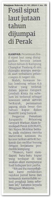 Fosil siput laut jutaan tahun dijumpai di Perak | Keratan akhbar Mingguan Malaysia 21 Januari 2024