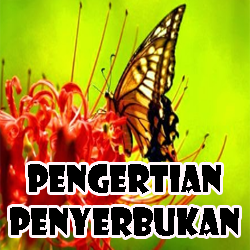 Pengertian Penyerbukan dan Macam macam Penyerbukan