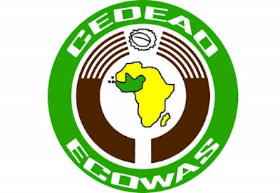 ECOWAS's Strategic Move: Excluding Niger, Mali, and Burkina Faso