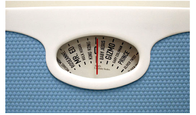 27 Cool and Creative Weigh scales (30) 6