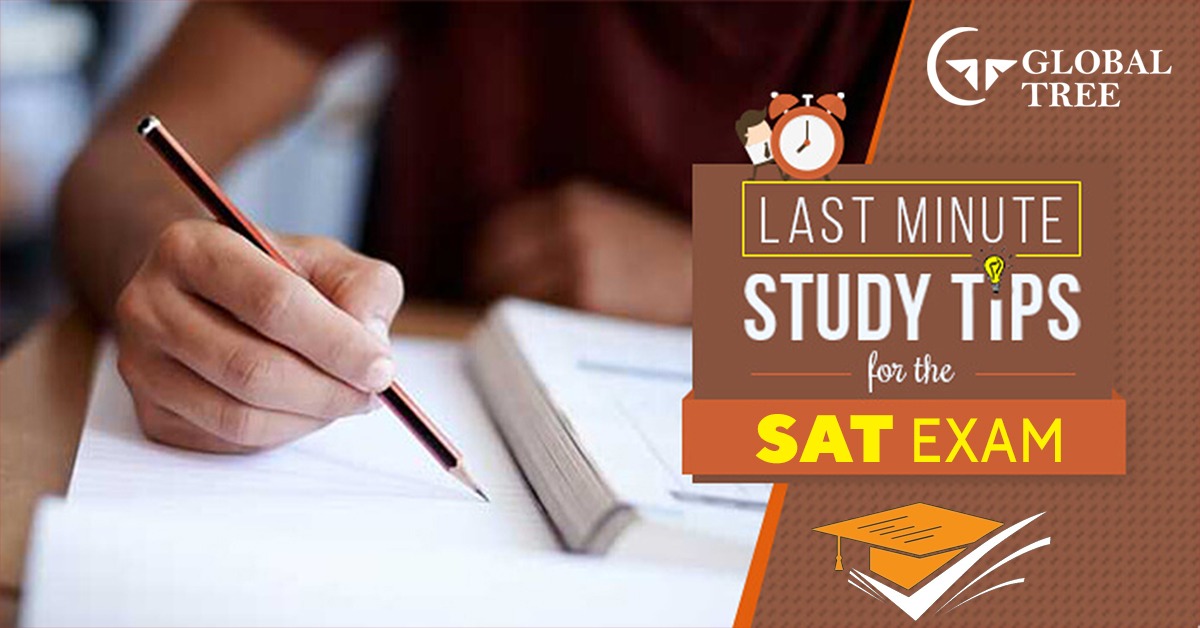 Last Minute Study Tips for the SAT Exam
