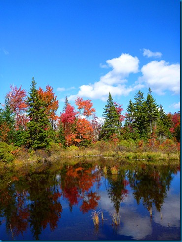 2012-09-23 079
