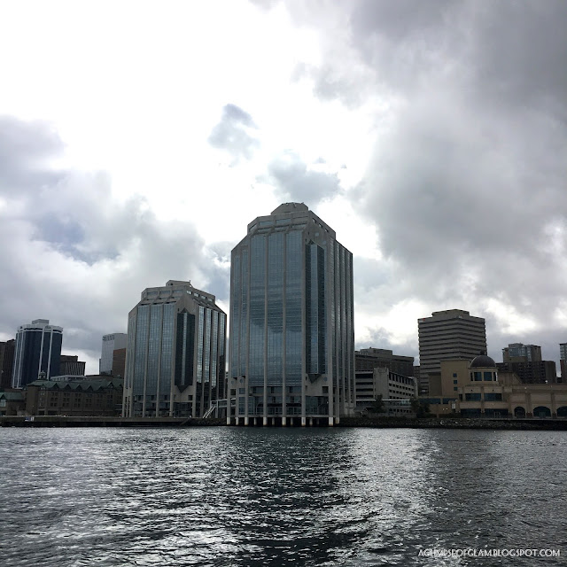 Harbor in the city Halifax Nova Scotia - Andrea Tiffany A Glimpse of Glam