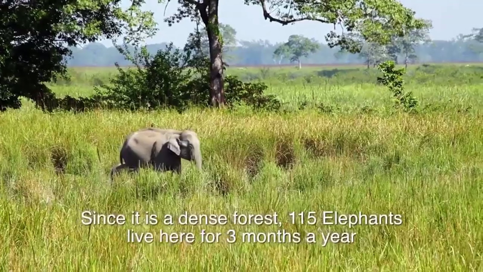 This Guy Has Been Planting Trees Each Day For 37 Years. The Result Is Mind-Blowing!