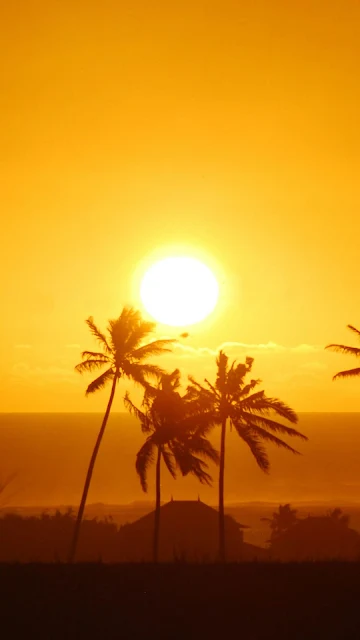 Papel de Parede Celular Pôr do Sol Tropical