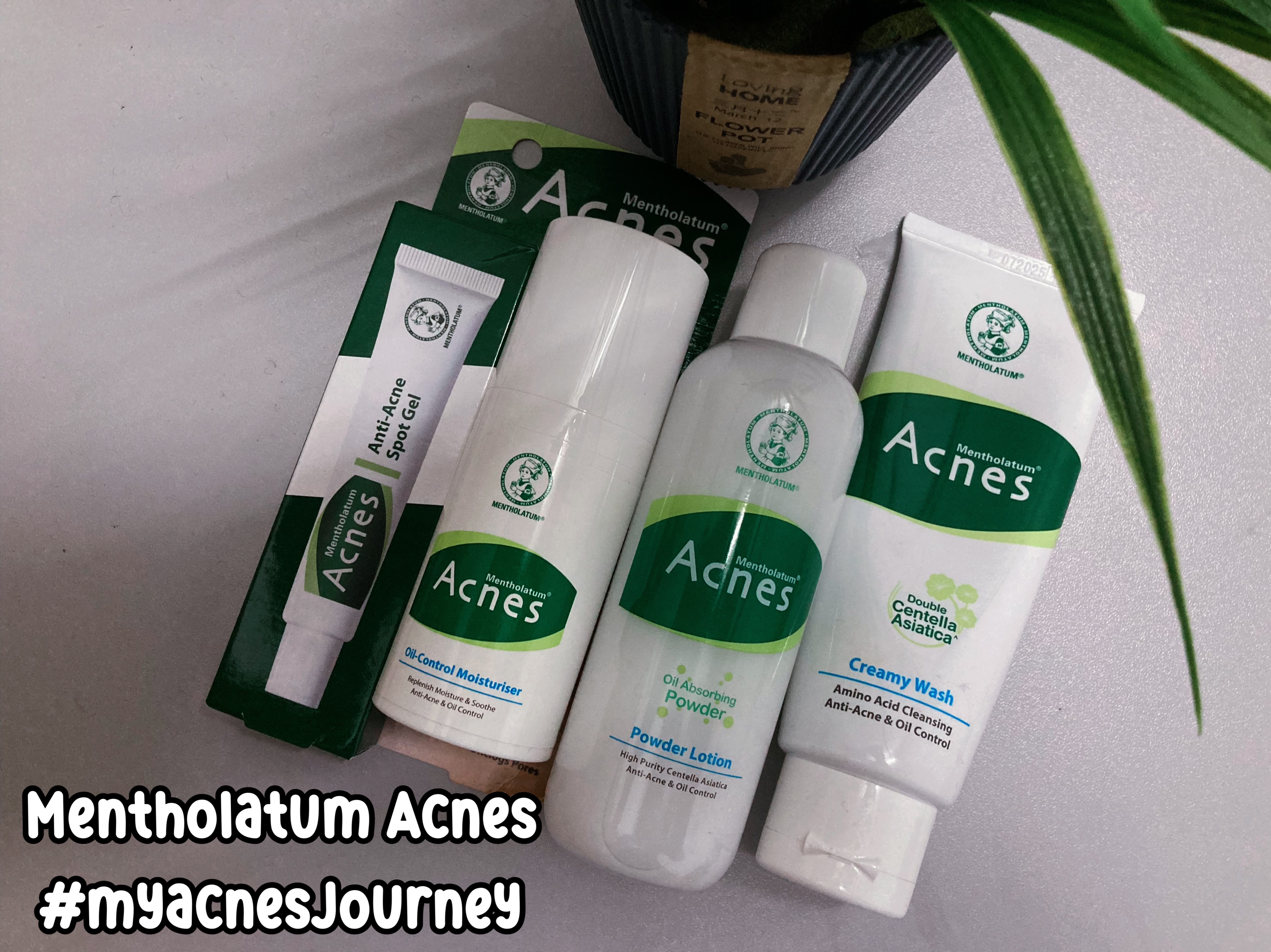 Mentholatum Acnes Range