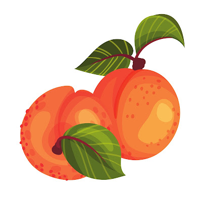 70+ Cartoon images of Apricot fruit