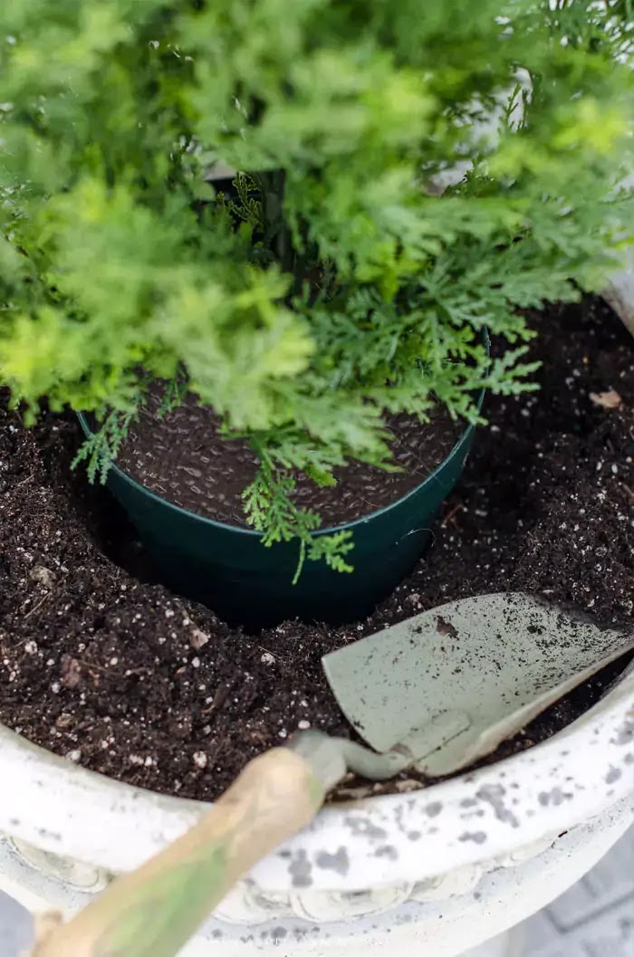 Trowel in soil in planter