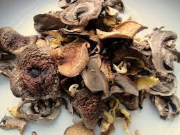 Dried Mushroom Supplier In Patan