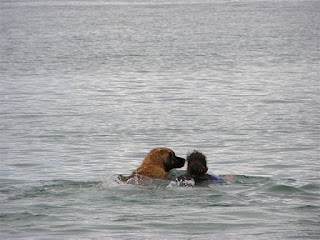 Monalisa and me swimming