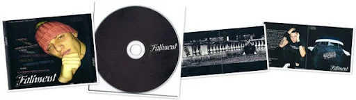 Visualizza mutu - faliment 2008