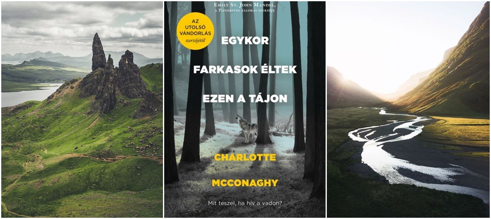 Charlotte McConaghy - Egykor ​farkasok éltek ezen a tájon