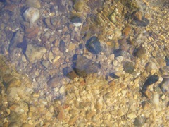 Clear water running over the creek bed