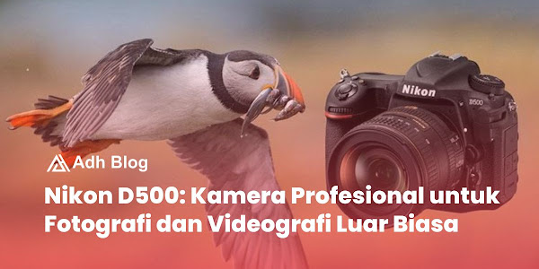 Nikon D500: Kamera Profesional untuk Fotografi dan Videografi Luar Biasa