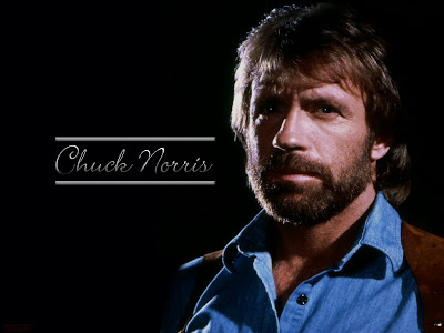 james christensen wallpaper. 3 WALLPAPERS DE CHUCK NORRIS 1024x786